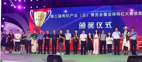 网红大赛奖,大赛巅峰对决，谁是下一个网络红人王？