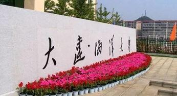 大连海霸大学最新爆料新闻,揭秘校园内幕与真相