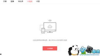 如何录下今日头条视频,如何高效录制今日头条热门视频教程