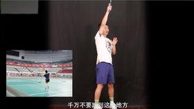 杨晨大神吃瓜,揭秘娱乐圈幕后真相