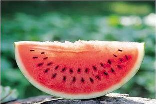 循化浪山吃瓜,探寻夏日消暑美食之旅