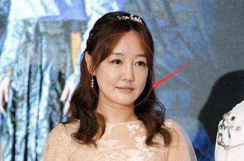 谢兰爆料淡出娱乐圈,揭秘背后原因与心路历程