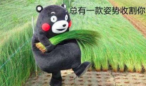 网红刘鸿飞割韭菜