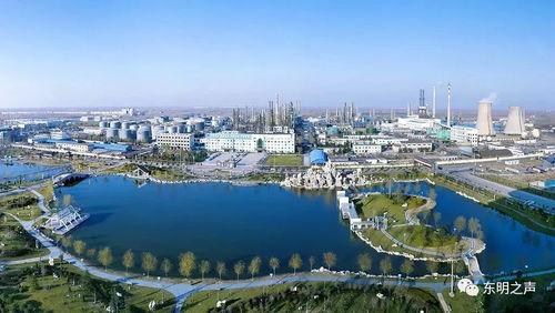 东明石化今日头条,聚焦产业升级与市场拓展成果
