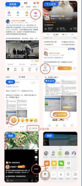 优质创作者发微头条,揭秘优质创作者微头条背后的创作秘诀