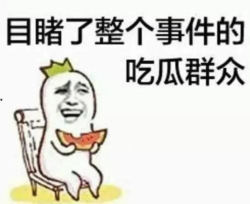 专业吃瓜群众头像,揭秘幕后真相的神秘面孔