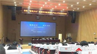 今日头条军马河,探寻历史长河中的军事传奇