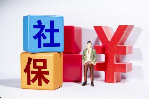 头条社会人员,聚焦新时代下的多元发展