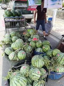 西昌近期吃瓜事件,一场吃瓜引发的社区热议