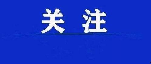 新闻头条重要消息在哪看,重要消息速览，一键掌握最新动态