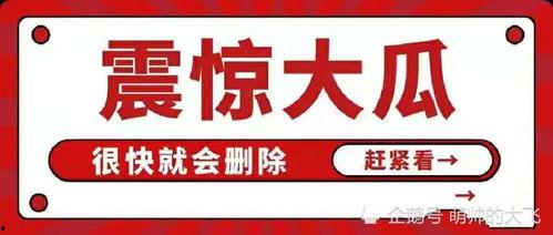 娱乐圈八卦吃瓜总汇,揭秘明星幕后故事