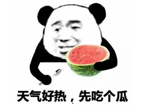 吃瓜表情包意思,吃瓜群众视角下的娱乐圈风云